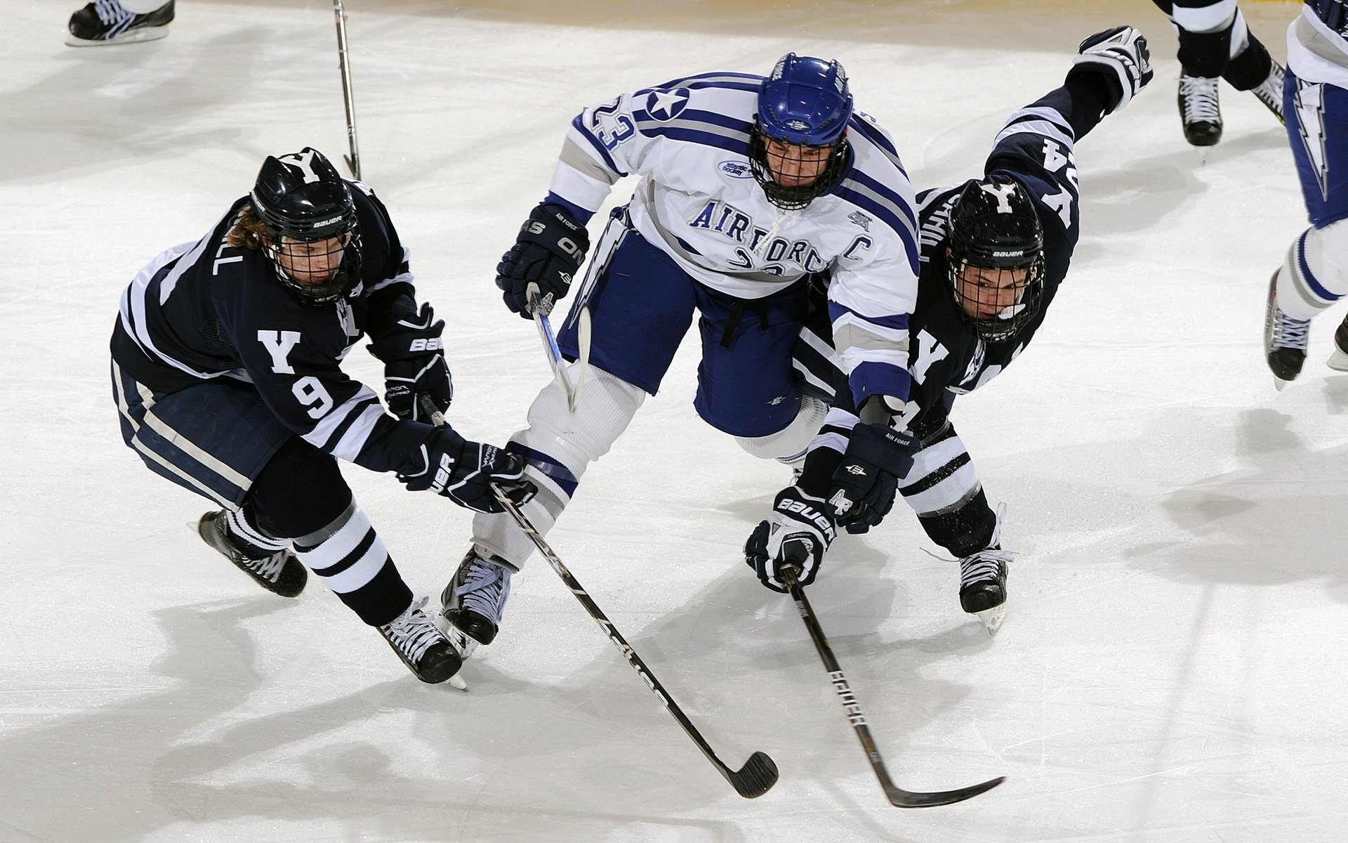 开云体育平台-APEX英雄 新星选手崛起备受期待，apex l星